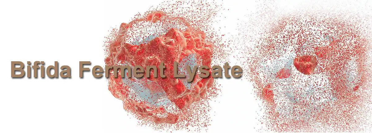Bifida Ferment Lysate Sale.jpg Bifida Ferment Lysate Sale.jpg